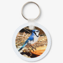 Blue Jay keychains by BisforBirds Blue Jay keychains