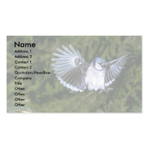 Blue Jay landing Business Cards