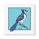 BLUE JAY MAGNET
