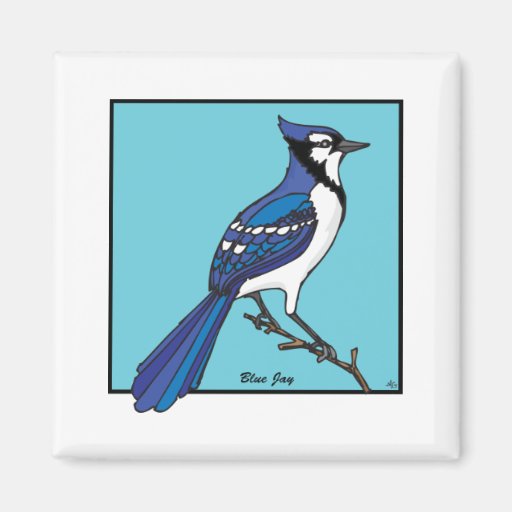 BLUE JAY MAGNET