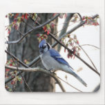 Blue jay mouse mat