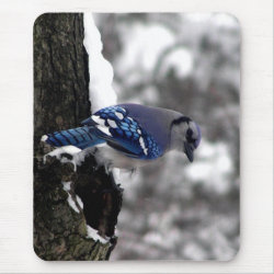 Blue Jay mousepad