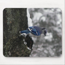 Blue Jay Mousepad mousepads