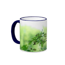 Blue jay mugs