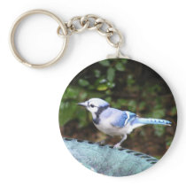 Blue Jay on Bowl keychains