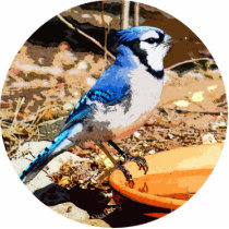Blue Jay photo sculptures by BisforBirds Blue Jay photo sculptures