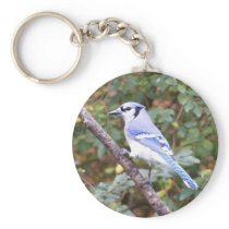 Blue Jay Posing keychains