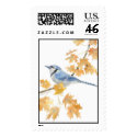 blue jay postage by birdartist blue jay postage