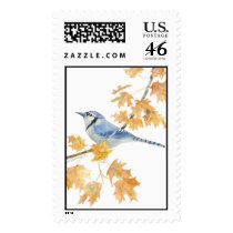 blue jay postage by birdartist blue jay postage