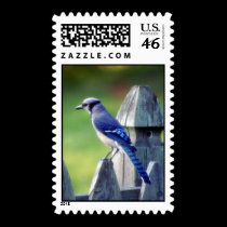 Blue Jay Postage postage by bbug123 Blue Jay Postage postage