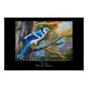 Blue Jay Poster posters by bmthour Blue Jay Poster posters