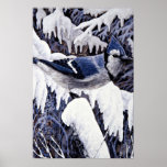 Blue jay posters