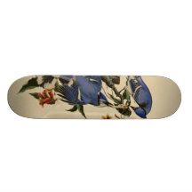 Blue Jay Skateboard Decks