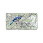 Blue Jay Songbird Custom Address Label