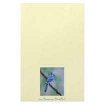 Blue Jay Stationery