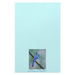 Blue Jay Stationery