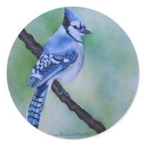 Blue Jay Stickers