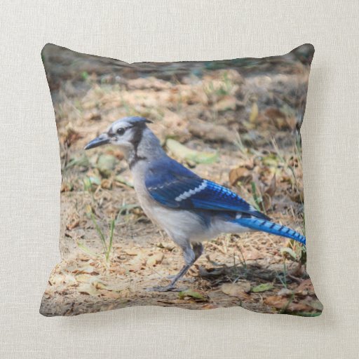 Blue Jay Throw Pillow Zazzle