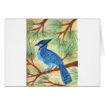 Blue Jay Watercolor by Wendy C Allen cards