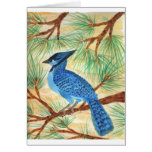 Blue Jay Watercolor by Wendy C Allen cards