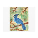 Blue Jay Watercolor by Wendy C Allen postcards