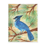 Blue Jay Watercolor by Wendy C Allen postcards