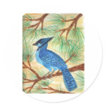 Blue Jay Watercolor by Wendy C Allen stickers