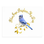 Blue Jays Brighten My Day Post Cards