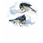 Blue Jays in Snow