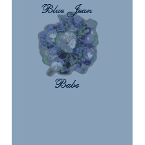 Blue Jean Babe shirt by HummingbirdSaint Blue Jean Babe shirt