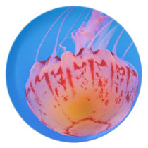 Blue Jelly Fish Party Plates