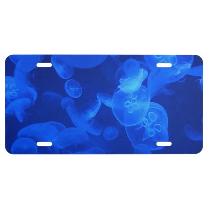Blue Jellyfish License Plate