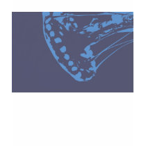 Blue Jellyfish t-shirts