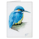 Blue Kingfisher fine art card