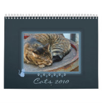Blue Kitty Frame Photo Calendar
