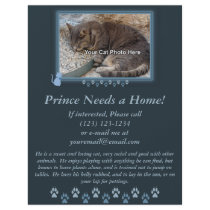 Blue Kitty Frame Photo Flyer