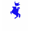 Blue knight T-shirt