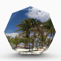 Blue Lagoon Palm Trees awards