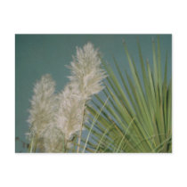 Blue Lagoon postcards