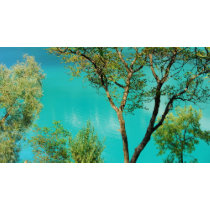 Blue Lagoon