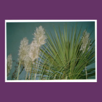 Blue Lagoon posters