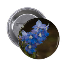 Blue Larkspur | Blauer Rittersporn Pinback Buttons
