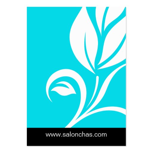 Blue Leaf Salon Spa Gift Card Certificate Business Card