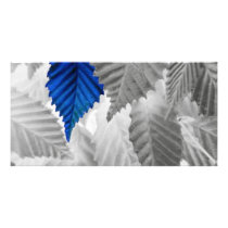blue leafy picture card