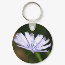 Blue Lettuce keychains
