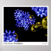 Blue Lilac Poster – Human Flowers