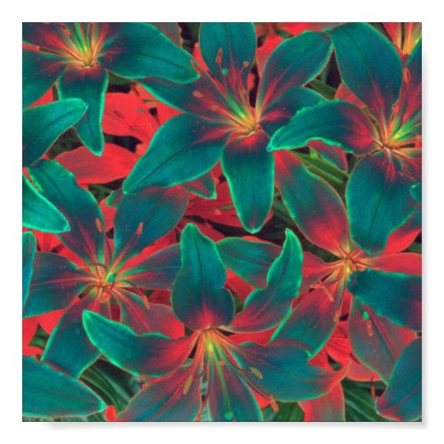 Blue Lilies Poster print