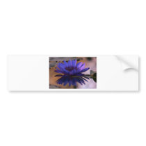 Blue Lily Bumper Stickers