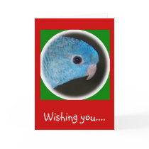 blue_linnie2grn, Wishing you.... cards by linniegirl blue_linnie2grn, Wishing you.... cards