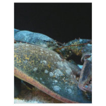 blue lobster flyers by pinkypetals blue lobster flyers